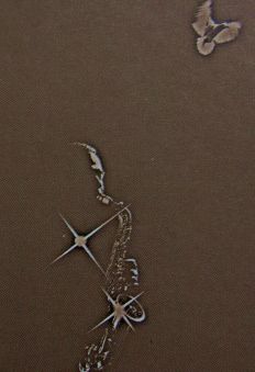 Evolution 069
